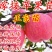 冰糖心苹果苗南北方种植包品种包活