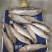 冷冻海鲫鱼(斑鰶)海杂鱼