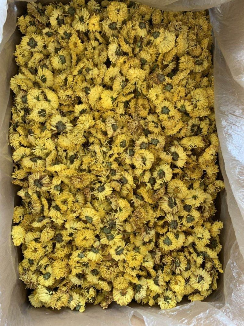 婺源皇菊，产地直销，欢迎选购！