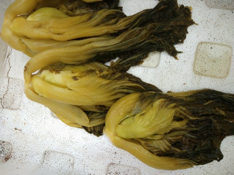新酸菜