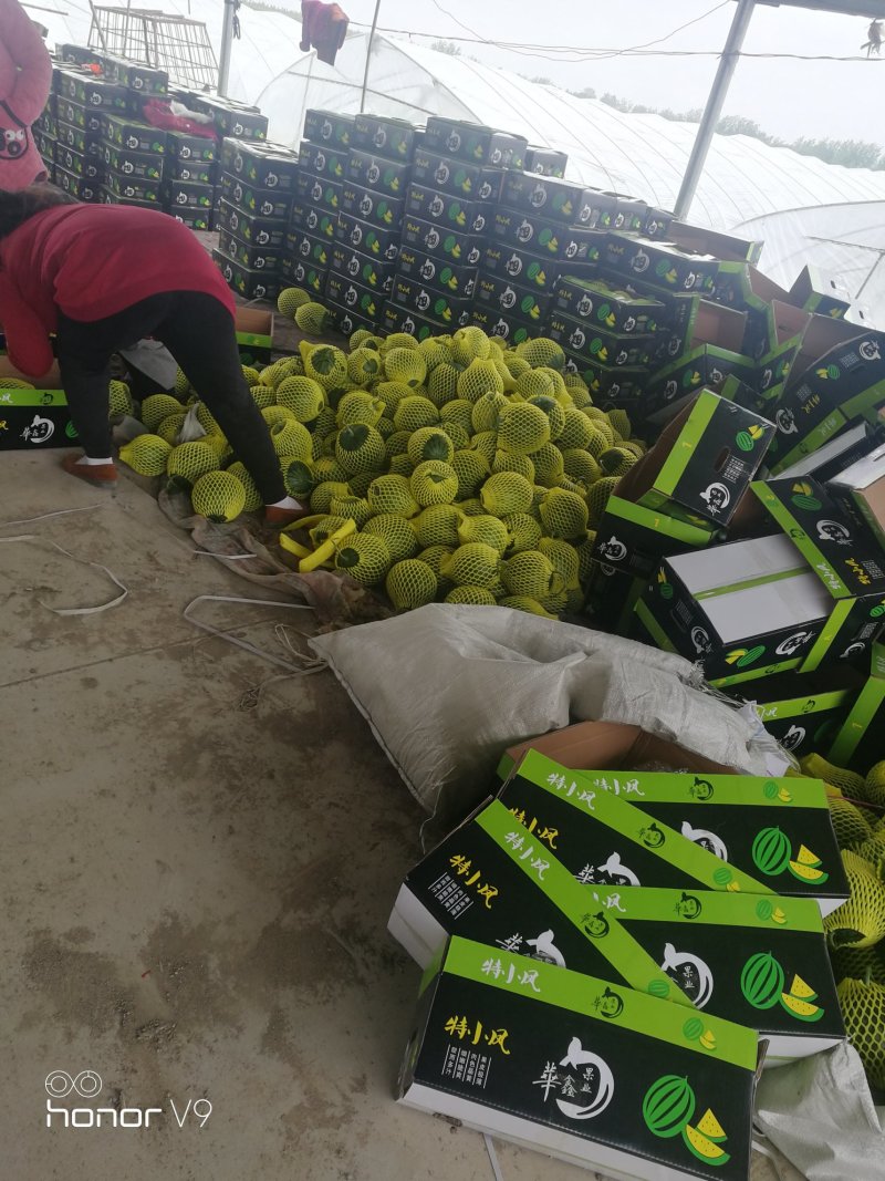 特小凤黄瓤西瓜，万亩产地直供价格公道