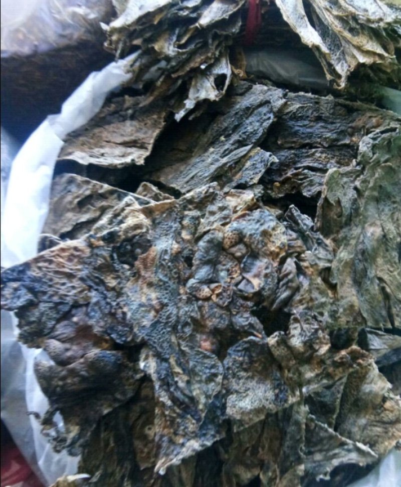 蟾皮无硫干蟾皮又叫癞蛤蟆皮实拍图一斤起包邮