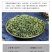 桑叶茶霜后干桑叶15.8一斤批发零售量大从优