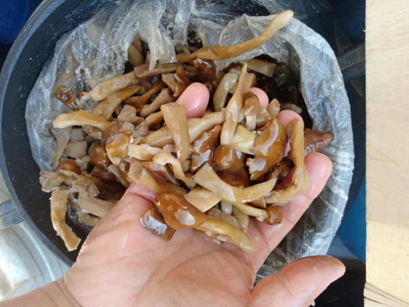 各种盐渍蘑菇野菜