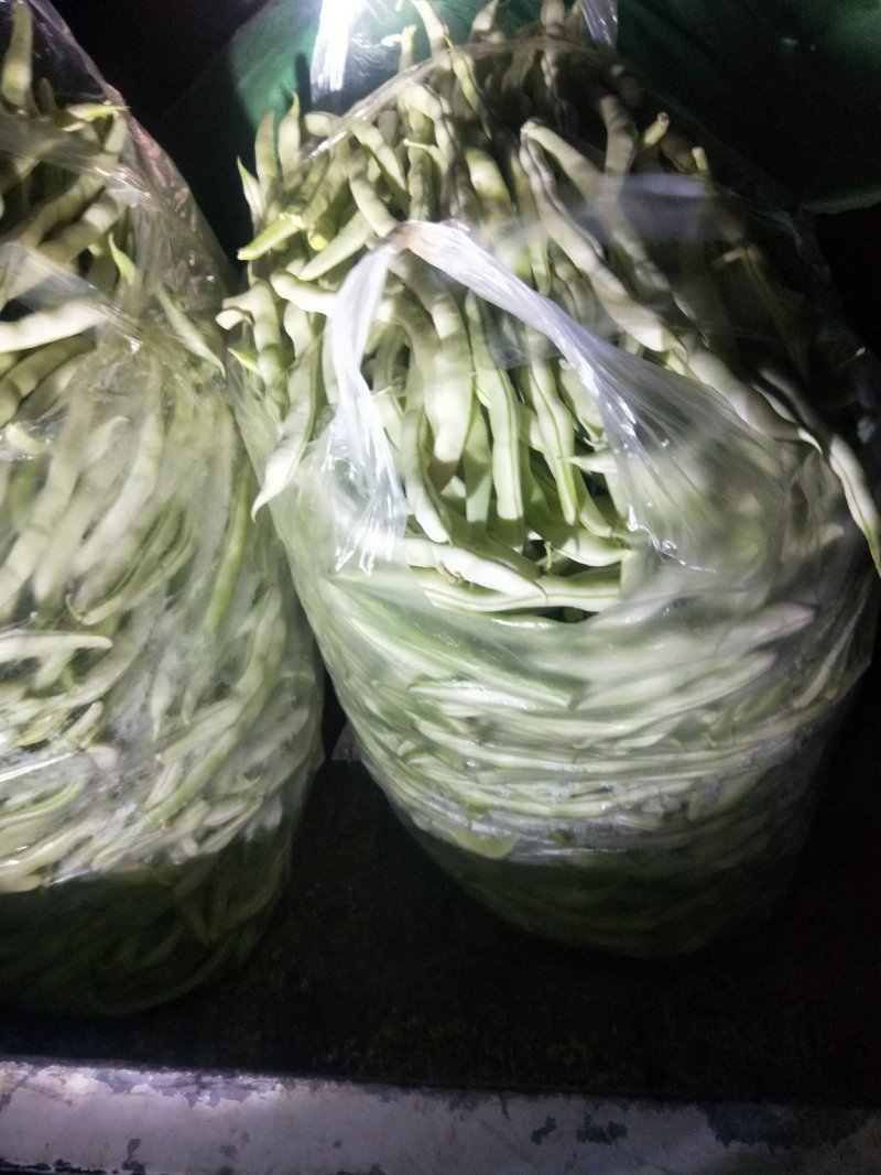 精品九粒白米都大量上市，有需要的客户前来选购，基地直销