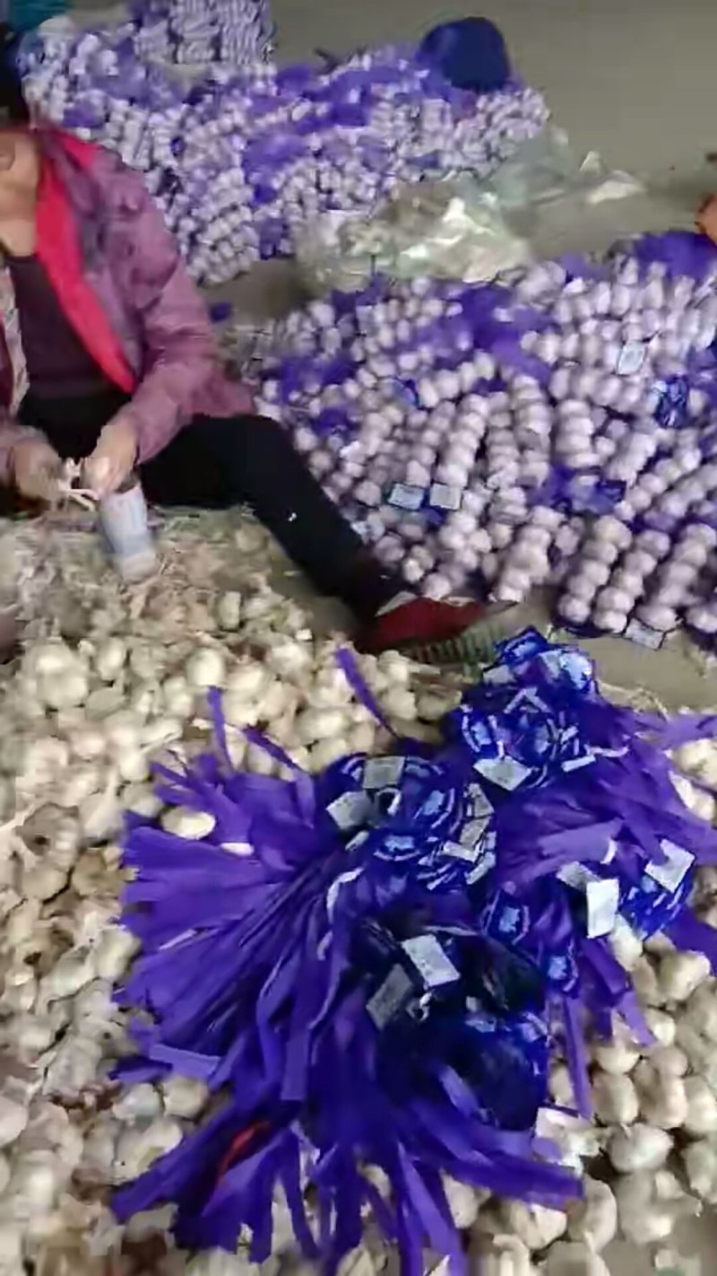 优质大蒜