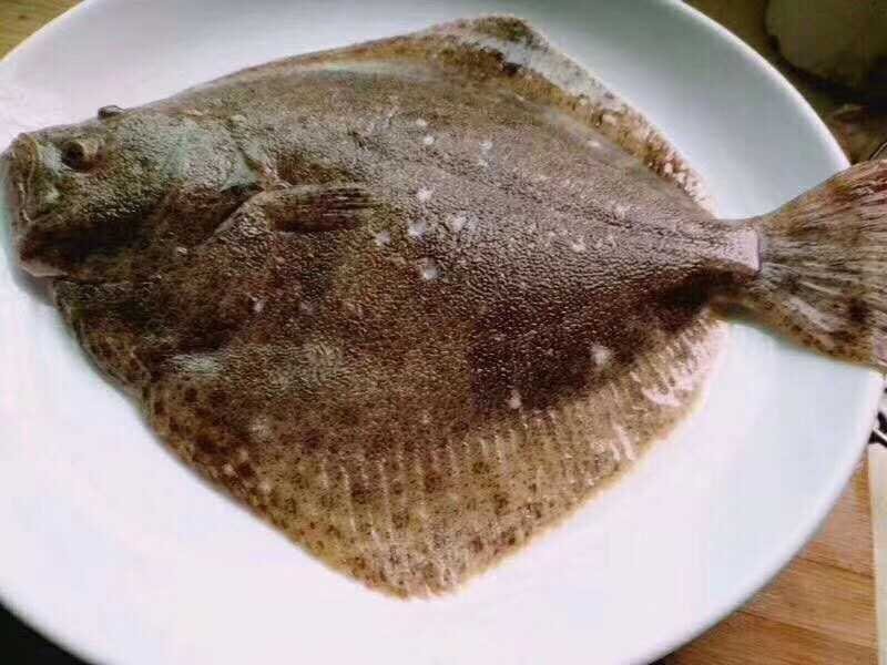 大连冷水鲅鱼，鸦片鱼，多宝鱼，偏口鱼，黄花鱼，渤海刀鱼