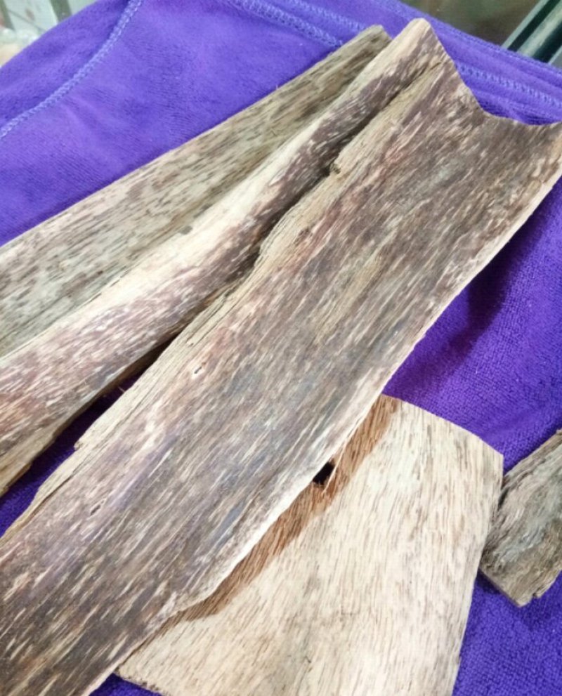 沉香无硫新鲜干货实物拍摄中药材批发零售一斤起包邮