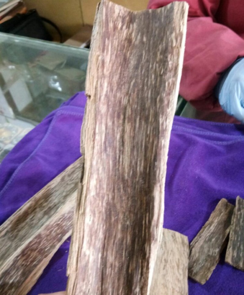 沉香无硫新鲜干货实物拍摄中药材批发零售一斤起包邮