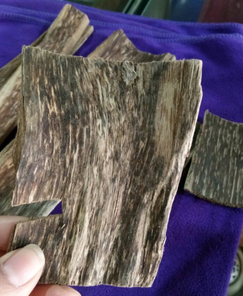 沉香无硫新鲜干货实物拍摄中药材批发零售一斤起包邮
