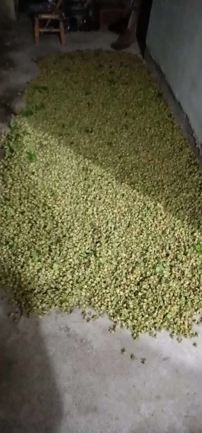 復盆子磐安县
