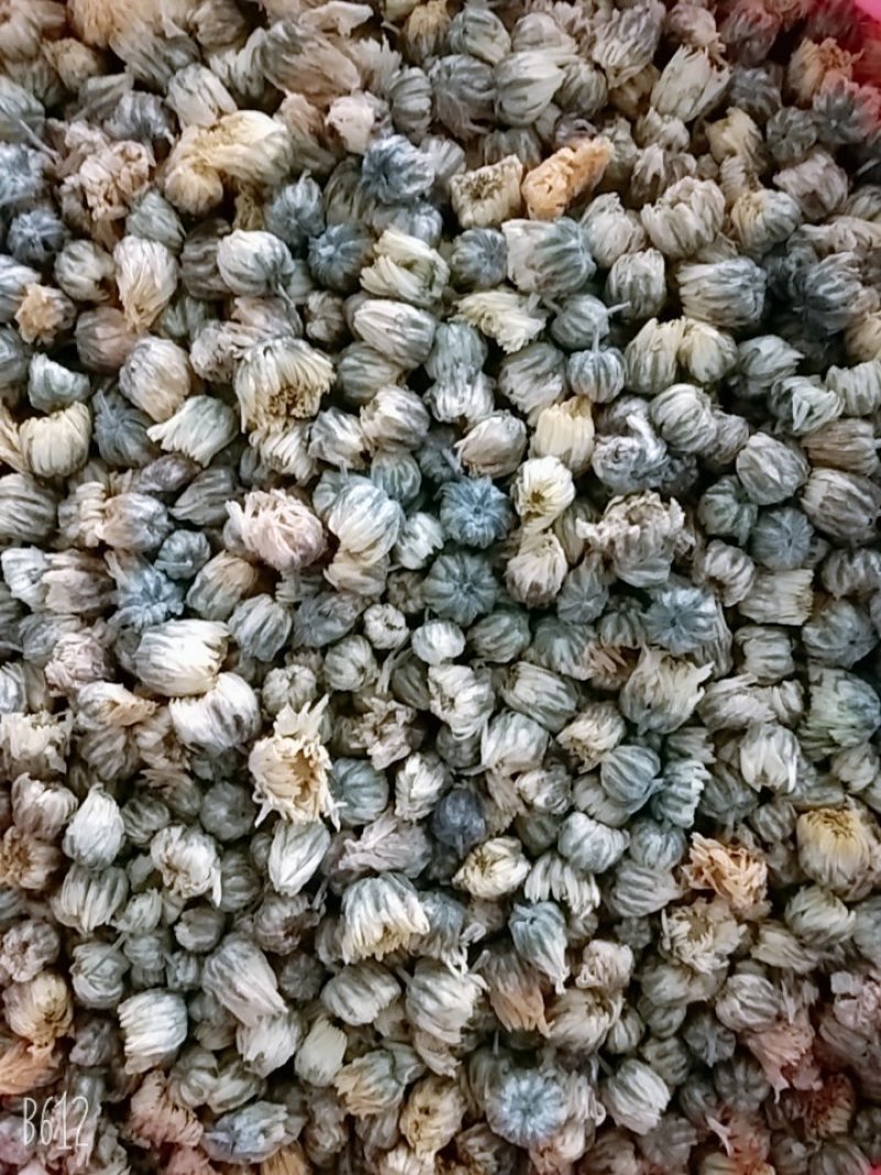 厂家直销胎菊70g装杭白菊桐乡菊花厂家直销胎菊70g装