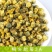 厂家直销胎菊70g装杭白菊桐乡菊花厂家直销胎菊70g装