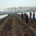 地膜弓杆弹力钢大棚杆瓜架支撑杆小棚弓杆玻璃纤维杆钢条支架