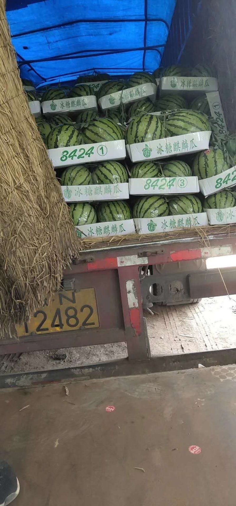 精品美都甜王西瓜诚信经营发往全国质量保证
