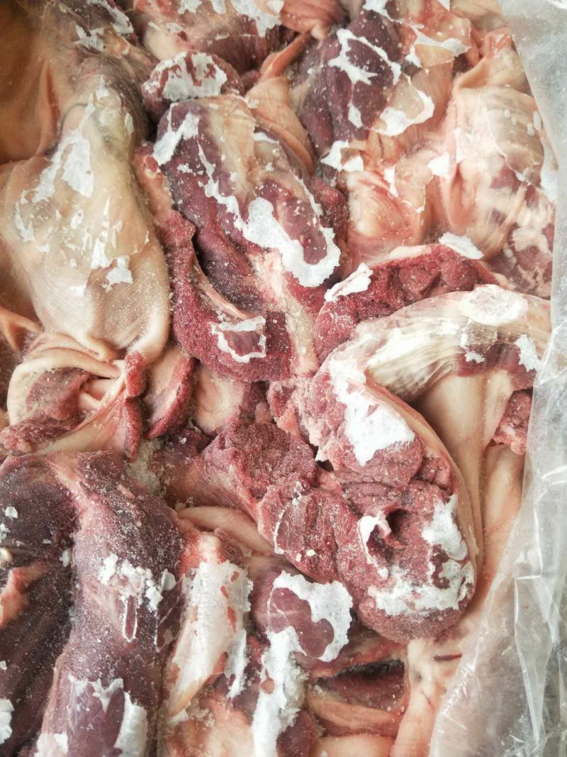 母猪连杆肉护心肉罗隔肉