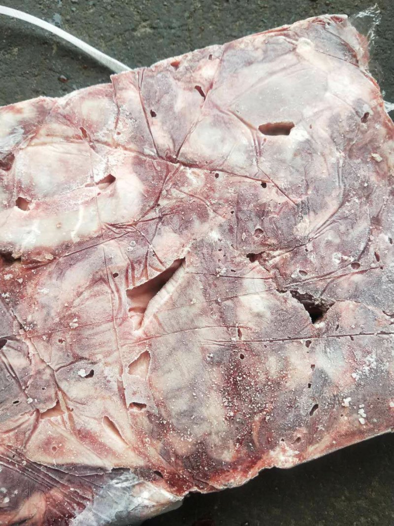 母猪连杆肉护心肉罗隔肉