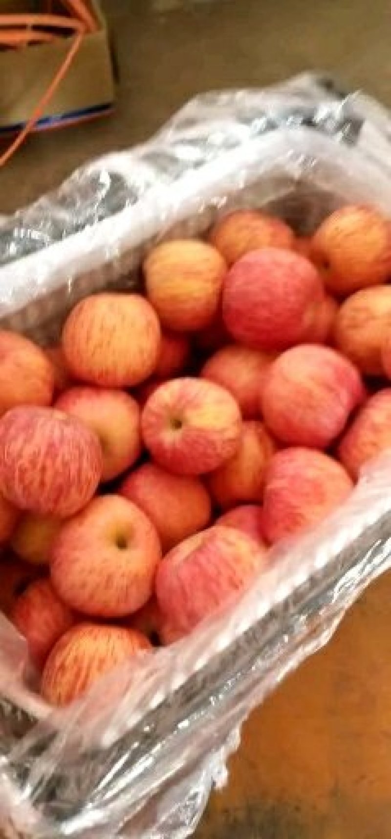 【山东红富士苹果批发】🍎膜袋果纸袋果，大量现货供应中