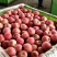 【山东红富士苹果批发】🍎膜袋果纸袋果，大量现货供应中