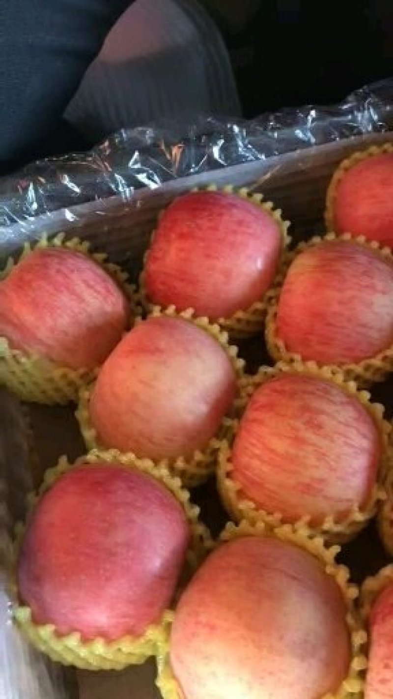 【山东红富士苹果批发】🍎膜袋果纸袋果，大量现货供应中