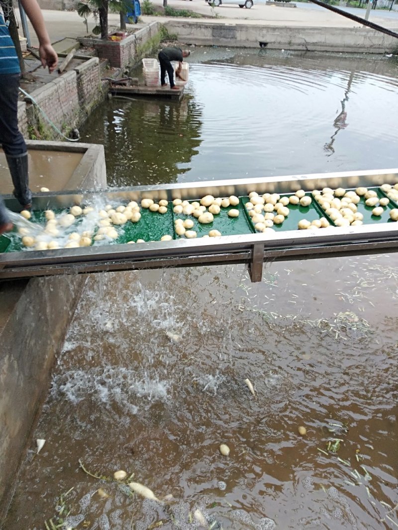 沃土5号，质量好，货源充足。