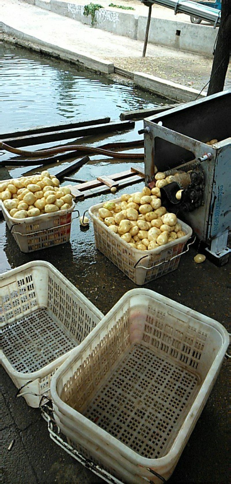 沃土5号，质量好，货源充足。
