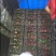 6月中旬代收油桃，春雪，大红袍