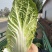 黄心大白菜