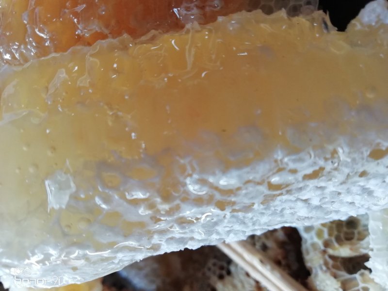 云南野生蜂蜜，货真价实，带巢发，嚼着吃更带劲！