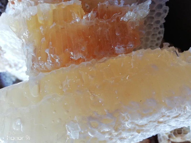 云南野生蜂蜜，货真价实，带巢发，嚼着吃更带劲！