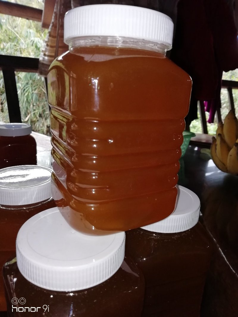云南野生蜂蜜，货真价实，带巢发，嚼着吃更带劲！
