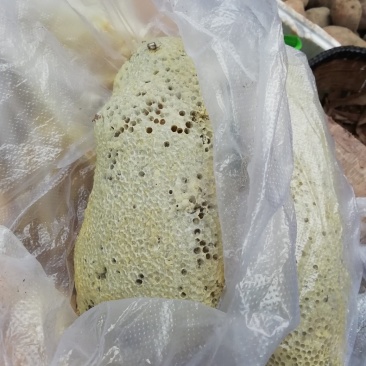 云南野生蜂蜜，货真价实，带巢发，嚼着吃更带劲！