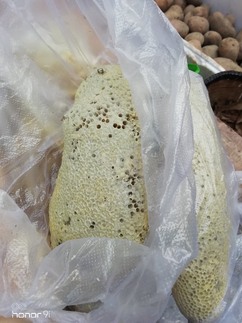云南野生蜂蜜，货真价实，带巢发，嚼着吃更带劲！