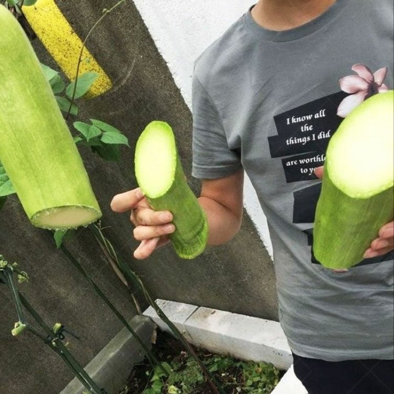 砍瓜种子100粒/包粒坎多少吃多少随坎随吃