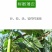 砍瓜种子100粒/包粒坎多少吃多少随坎随吃