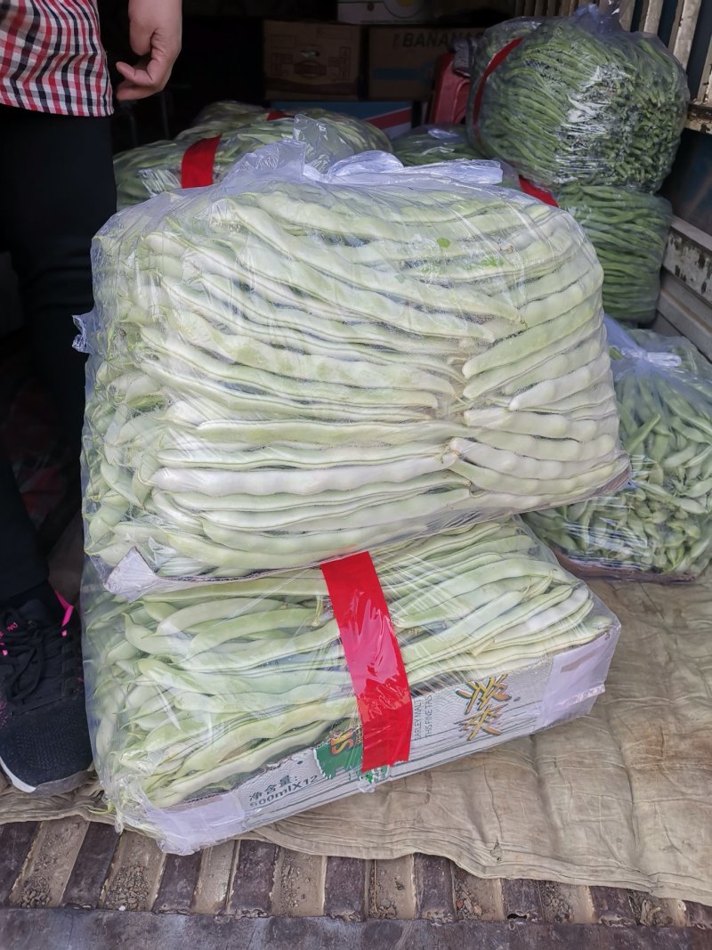 白芸豆