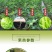 买二送一无花果苗室内庭院四季盆栽阳台当年结果新品种无花果