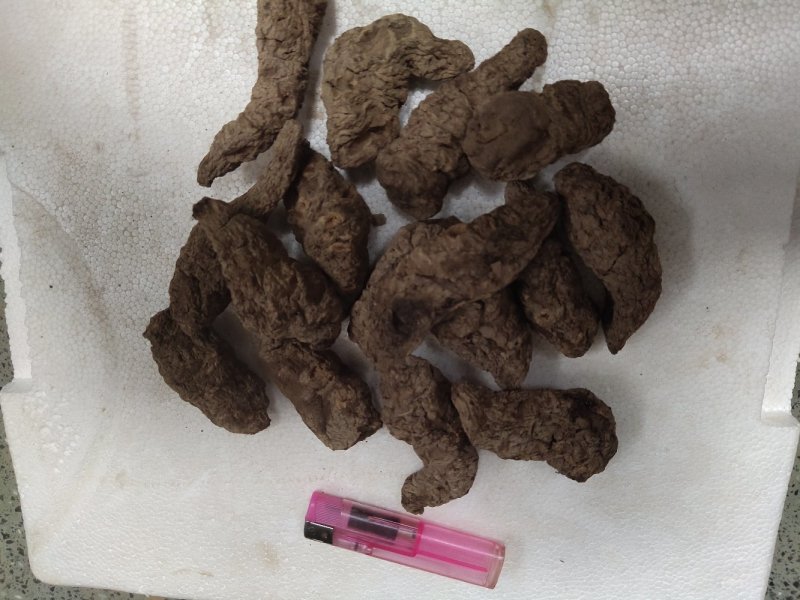 正宗怀生地，各规格手捡货，含量达标