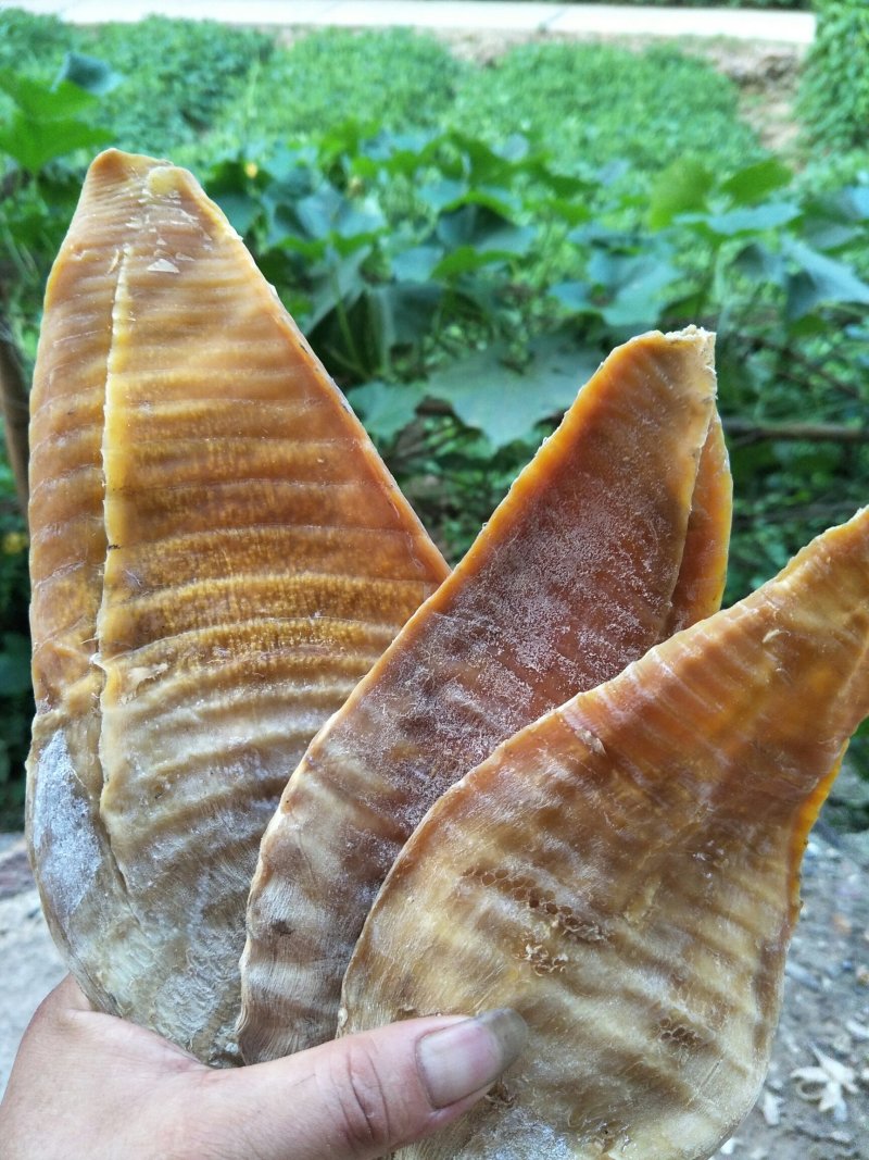 明笋干