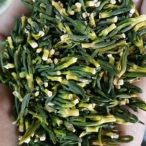 莲子心莲子心茶规格齐全中药材大全质量放心
