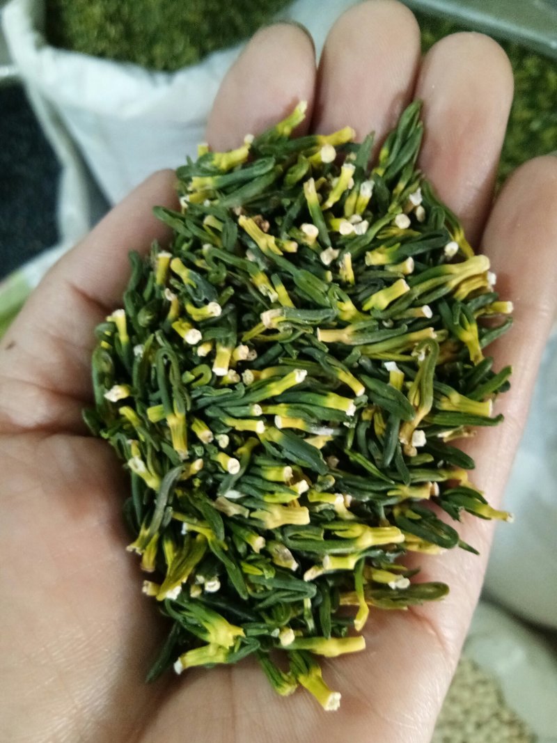 莲子心莲子心茶规格齐全中药材大全质量放心