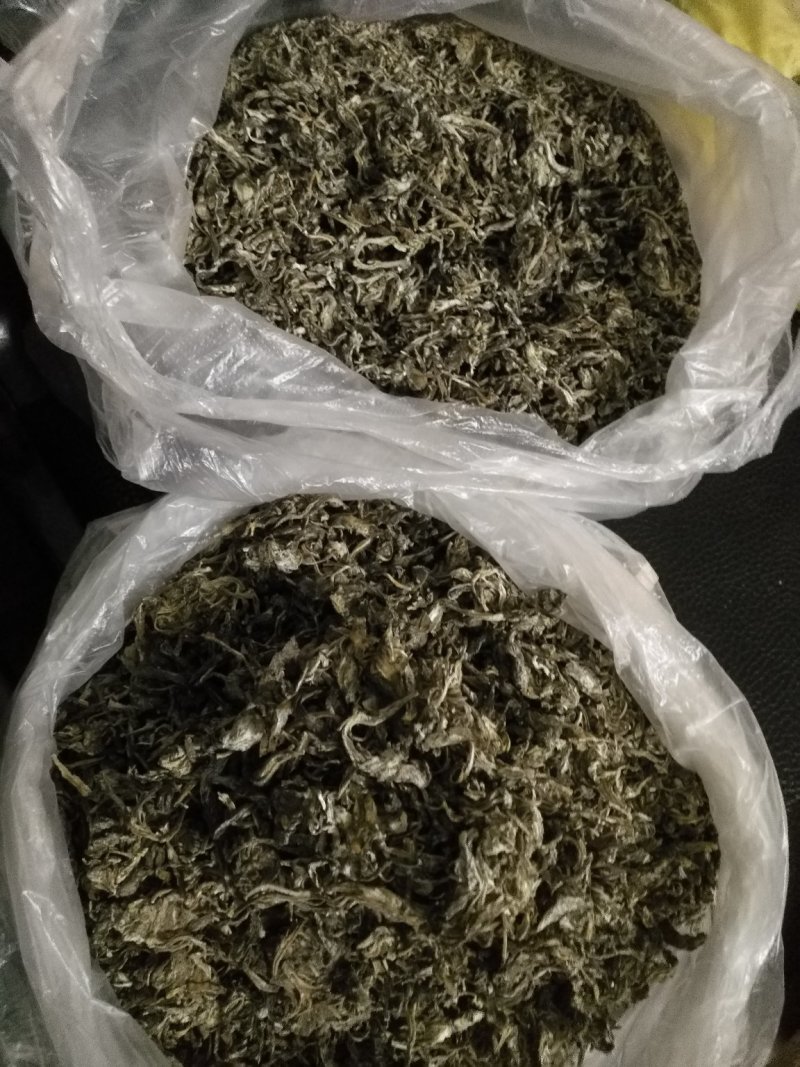 老鹰茶