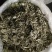 老鹰茶