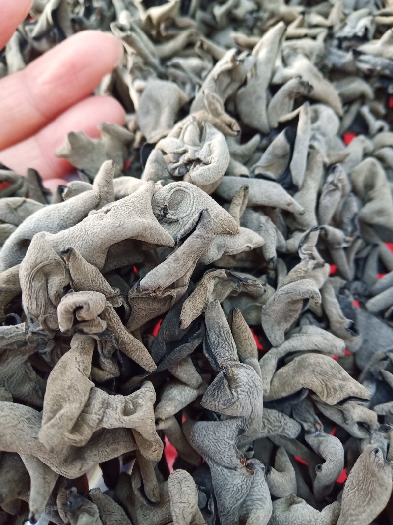 东北吉林黄松甸秋木耳黑木耳特级