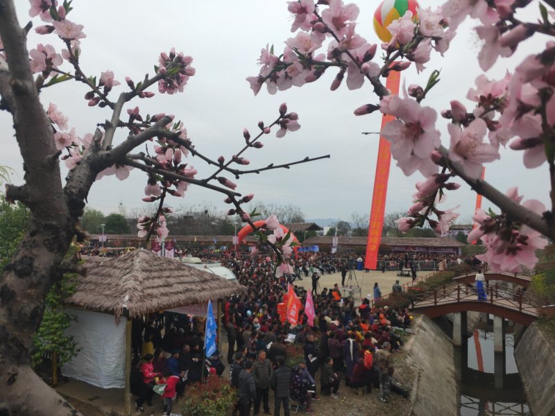 脆甜黄心油桃黄肉油桃带检测报告发票对接电商全国一件代发