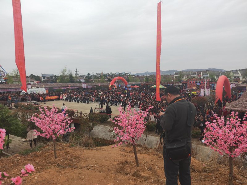 脆甜黄心油桃黄肉油桃带检测报告发票对接电商全国一件代发