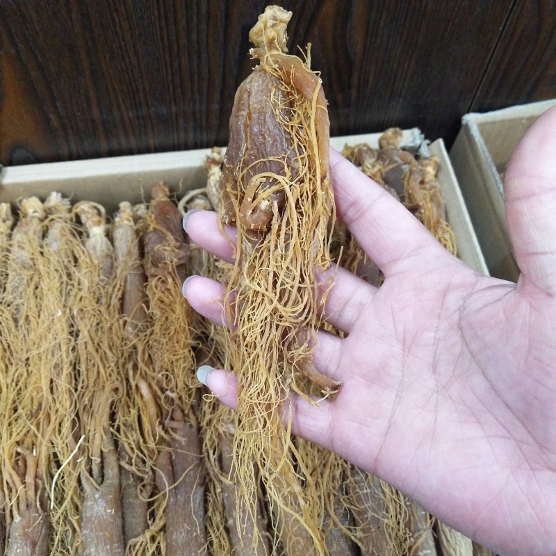 低糖无硫大片红参片，10个头儿大颗红参