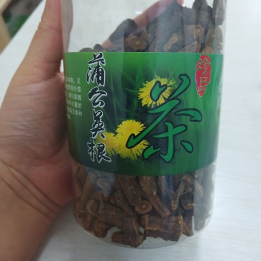 蒲公英根茶长白山秋大根