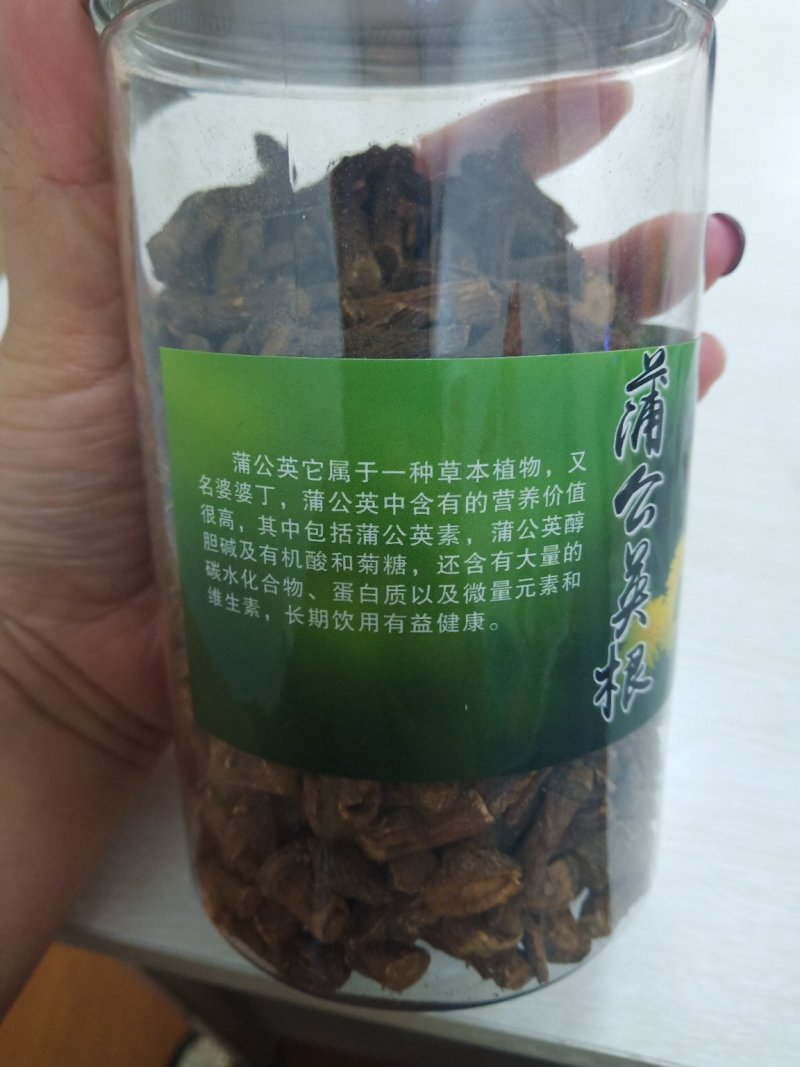 蒲公英根茶长白山秋大根