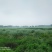 沙洋县马良500-1000亩旱地招合作